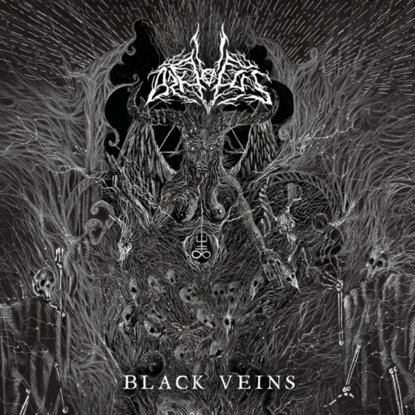 Arktotus mit Black Veins