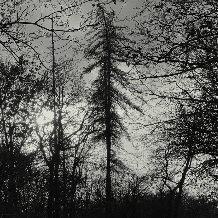 Curse all Kings mit Feral Earth